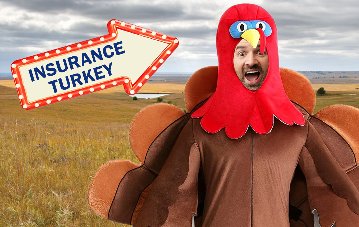 Insurance Turkey Teacher Florida 