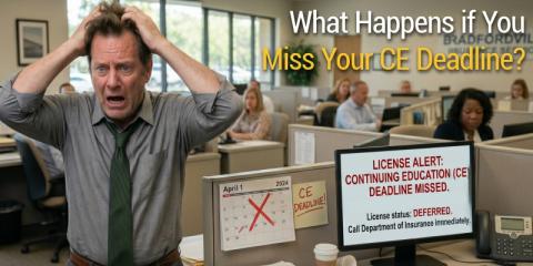 What Happens If You Miss Your Florida Insurance CE Deadline?