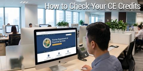 How to Check Your Florida Insurance CE Credits (A Guide for Licensed Agents) 
