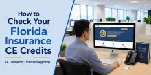 How to Check Your Florida Insurance CE Credits (A Guide for Licensed Agents)